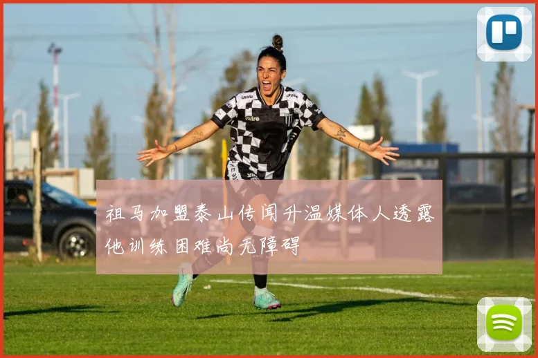 祖马加盟泰山传闻升温媒体人透露他训练困难尚无障碍